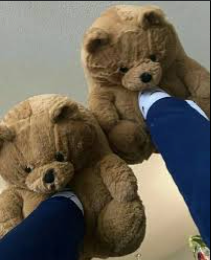 TeddyBear Bedroom Shoes